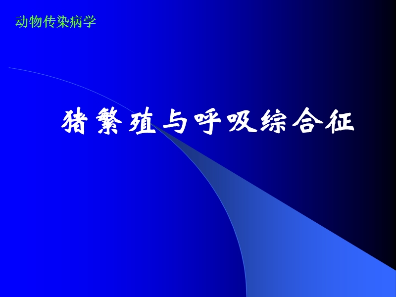 猪繁殖与呼吸综合征(蓝耳病或无名高热课件).ppt_第1页