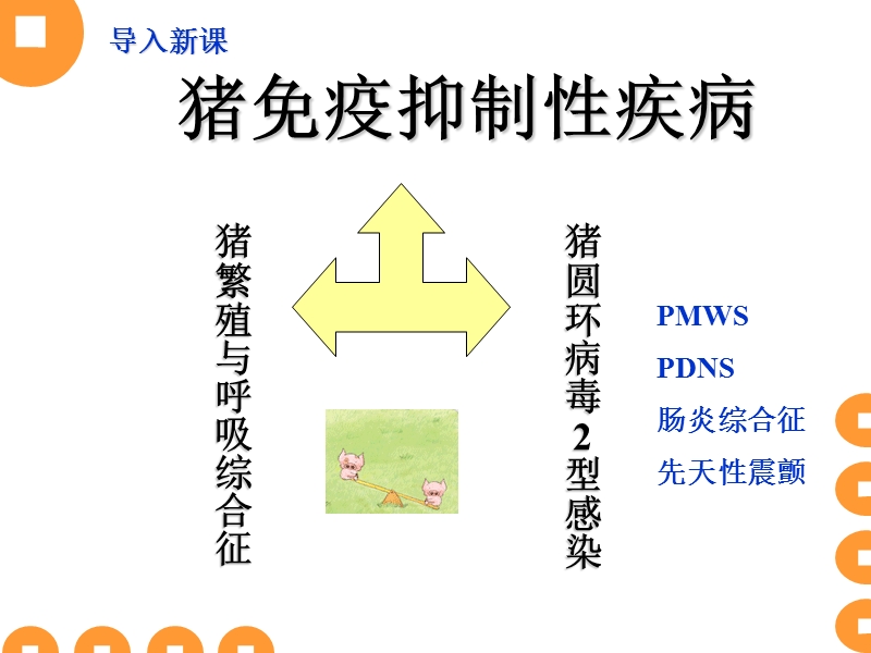 猪繁殖与呼吸综合征(蓝耳病或无名高热课件).ppt_第2页