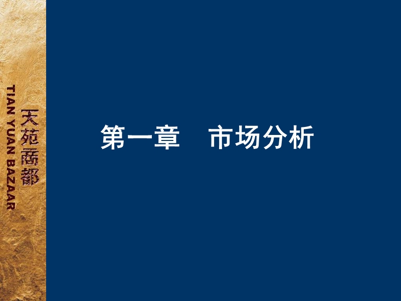 天苑商都·商业裙楼营销策划导入报告.ppt_第2页