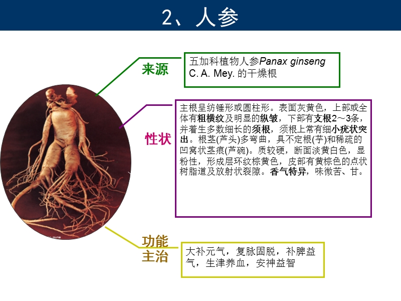 药材识别.ppt_第2页