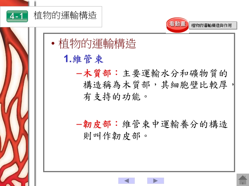 生物的运输作用.ppt_第2页