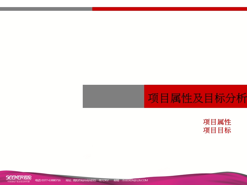 西峡鹳河大道项目定位报告66p.pptx_第2页