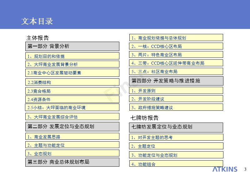 重庆市渝中区大坪片区商业发展定位研究（主题报告）.ppt_第3页