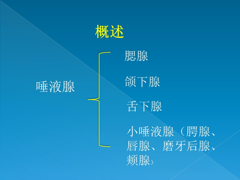 涎腺疾病.ppt_第2页