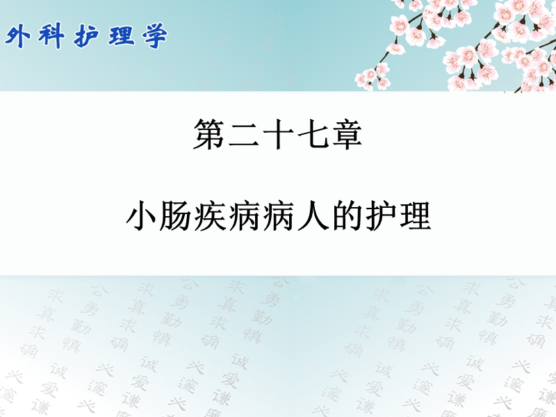 第二十七章_小肠疾病病人的护理.ppt_第1页