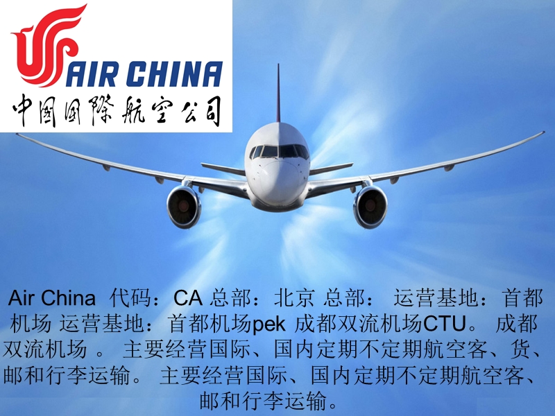 国内所有航空公司.ppt_第1页