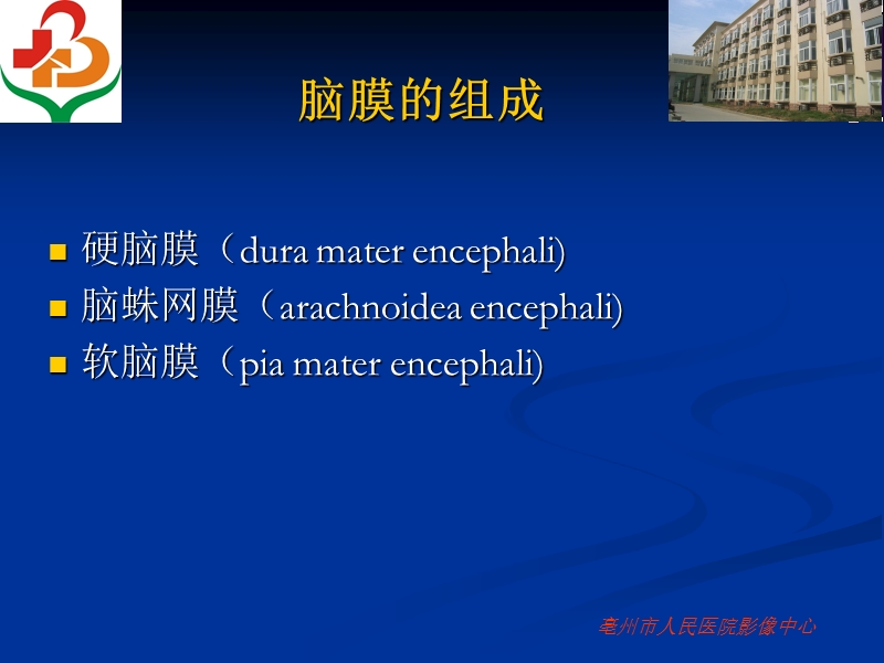 脑膜病变(一).ppt_第2页