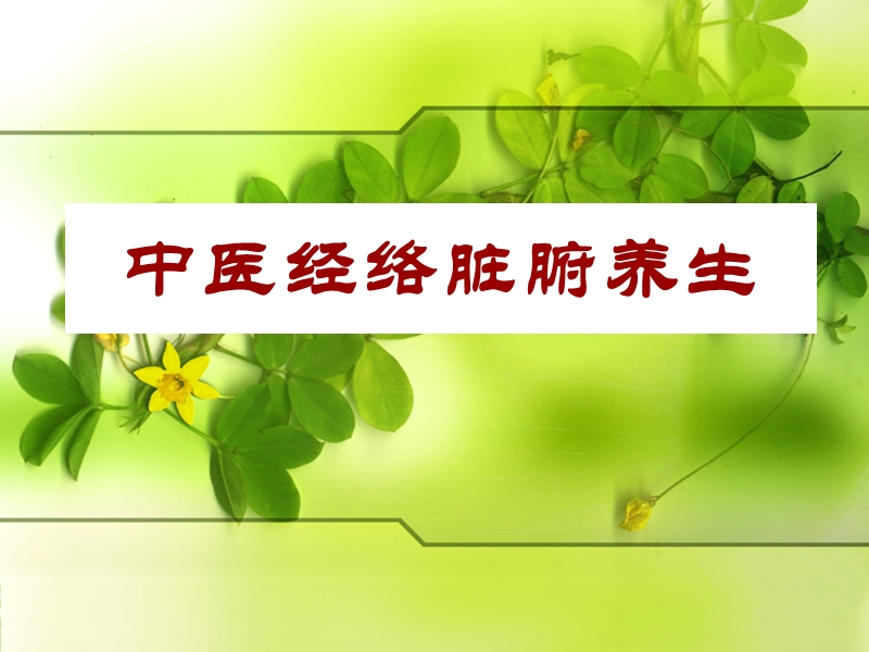 贝罗娜 中医经络脏养生.ppt_第1页