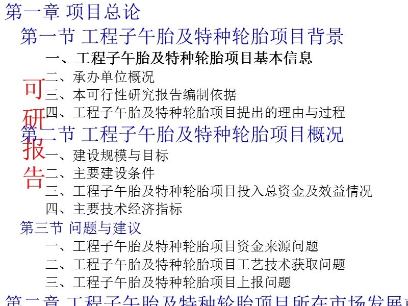 工程子午胎及特种轮胎项目可行性研究报告.ppt_第2页