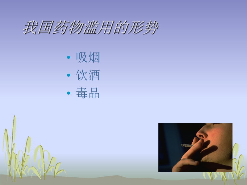 精神活性物质.ppt_第2页