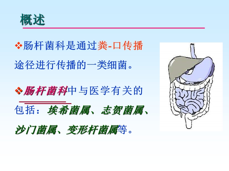 第15章_肠道感染细菌.ppt_第2页