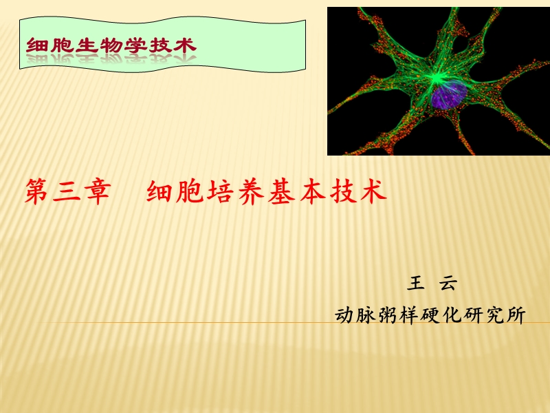 细胞培养技术实用篇.ppt_第1页