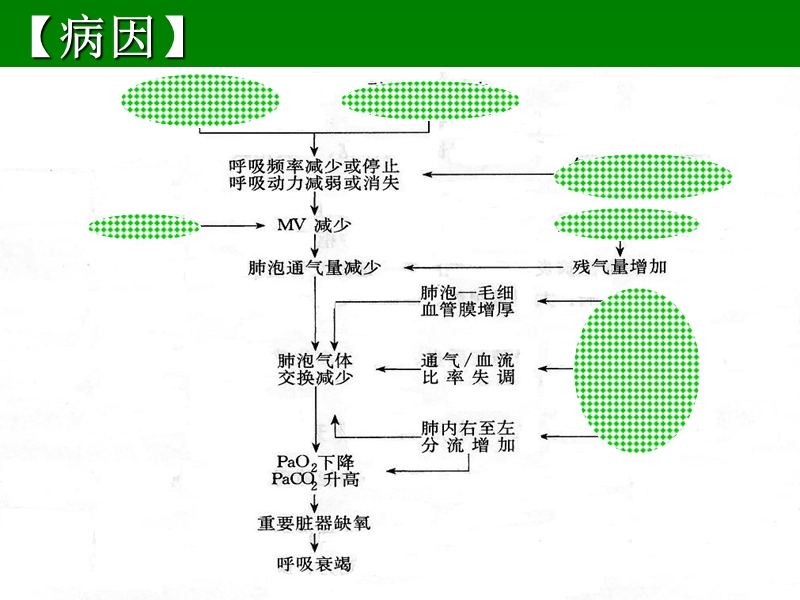 呼吸衰竭_microsoft_powerpoint_演示文稿.ppt_第3页