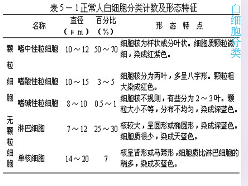 白细胞检查.ppt_第3页