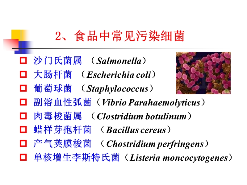 安全性第二章1 2 3节（课件）.ppt_第3页