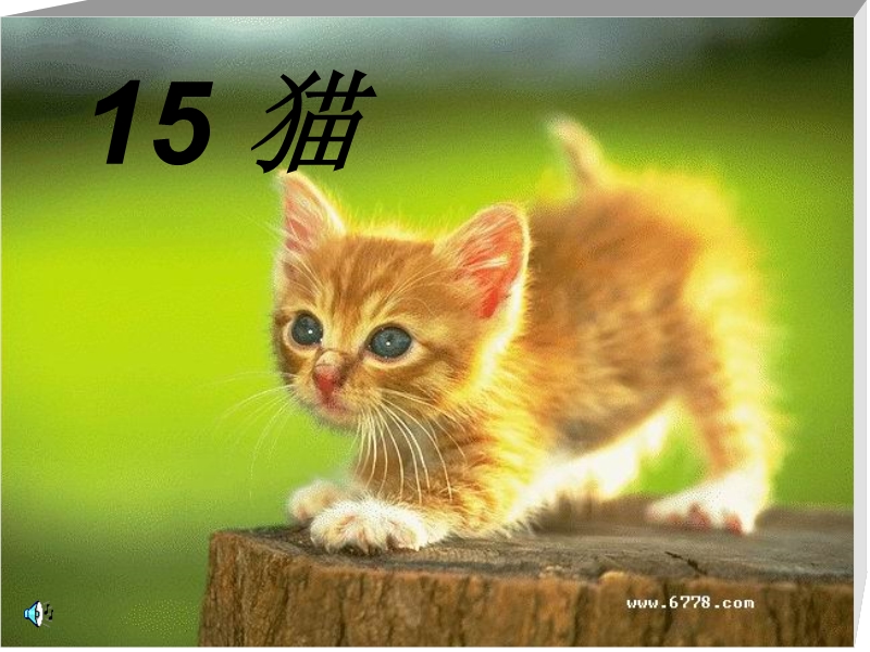 四年级语文下册猫教学ppt.ppt_第1页