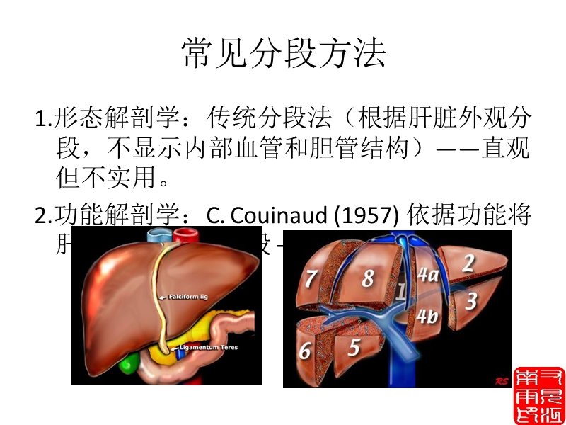 肝脏正常解剖及检查方法.ppt_第2页