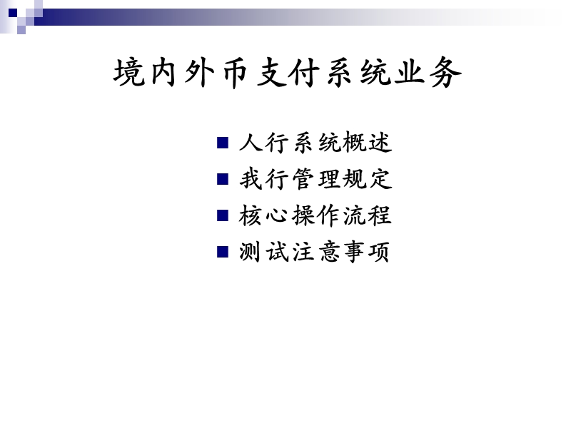 境内外币支付系统业务(20090506).ppt_第2页