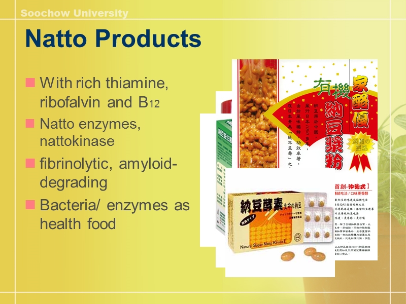 简介微生物在健康食品的应用.ppt_第2页