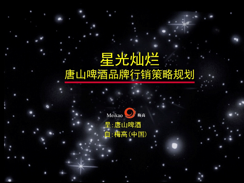 唐山啤酒品牌行销策略规划-星光灿烂.ppt_第2页