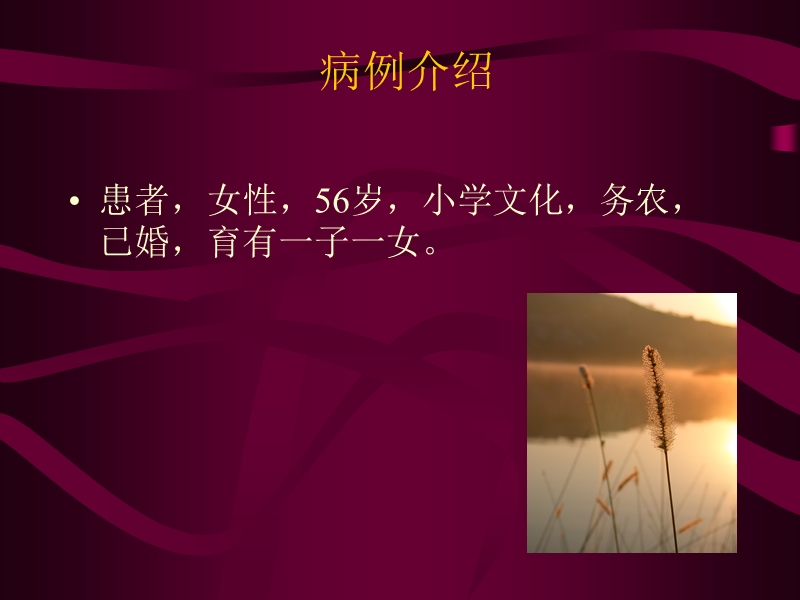 肺炎的护理查房.ppt_第2页