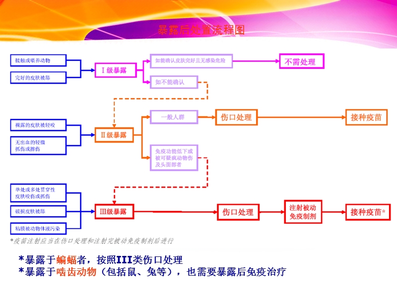 狂犬病暴露预防处置流程.ppt_第2页