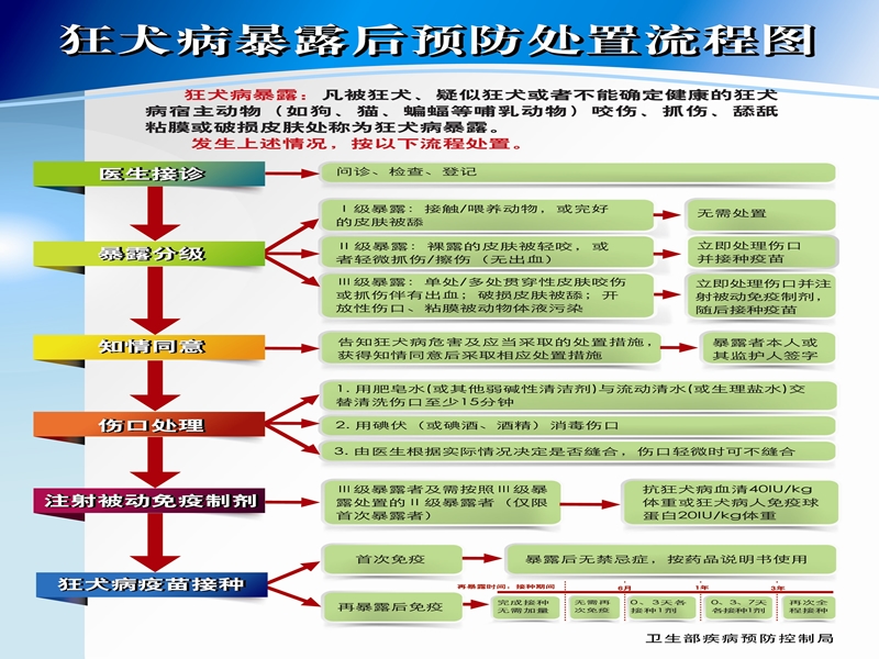 狂犬病暴露预防处置流程.ppt_第3页