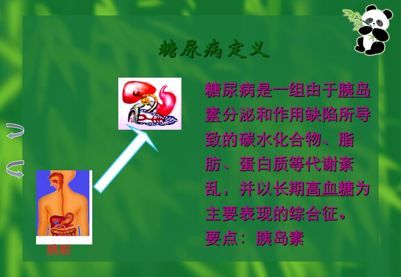 糖尿病饮食治疗宣教版.ppt_第3页