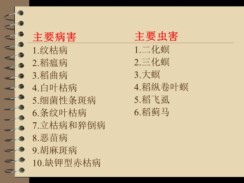 绿亨水稻病虫害识别及用药配方.ppt_第2页