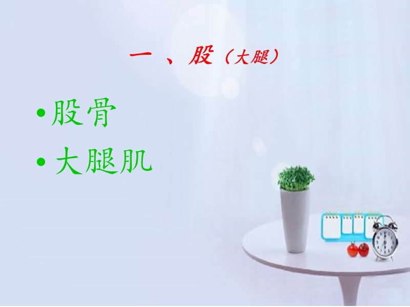 股膝部表面解剖.ppt_第3页