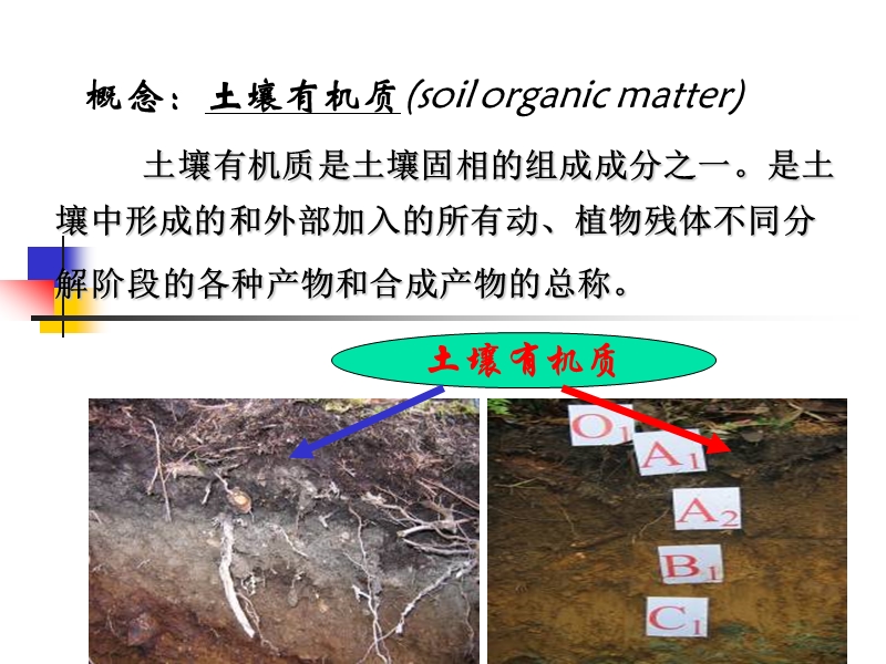 应用mapgis制作林相图属性编辑初探.ppt_第2页