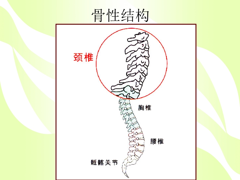 颈椎病健康教育---10.31.ppt_第2页