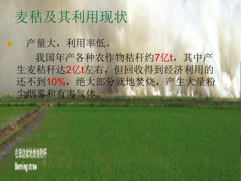 麦秸在建筑材料中的应用.ppt_第3页