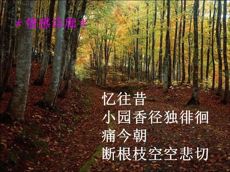 幽径悲剧.ppt_第1页