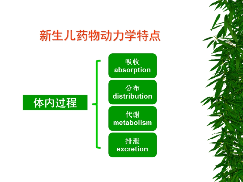 新生儿合理用药-抗生素应用原则.ppt_第2页