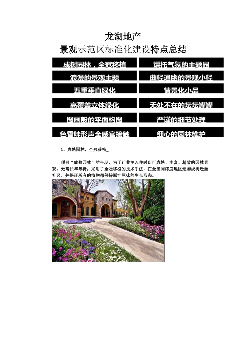 龙湖地产景观示范区标准化建设特点总结.doc_第1页