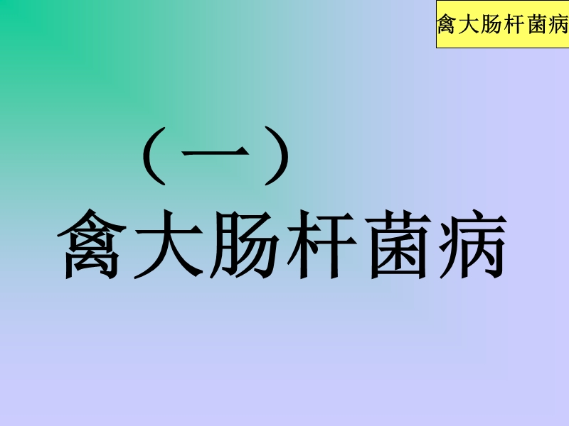 鸡细菌性疾病诊断与防制(2013).ppt_第3页