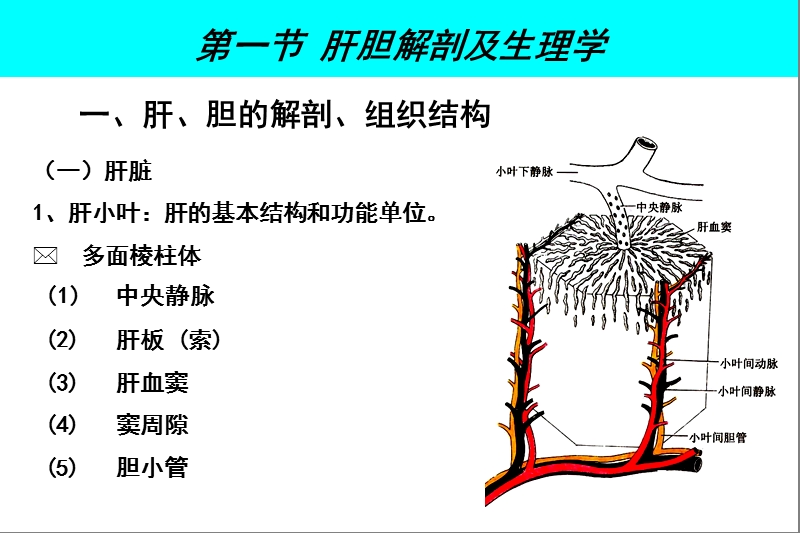 麻醉与肝脏2016.ppt_第3页