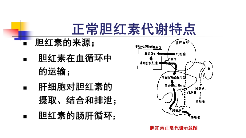 新生儿黄疸.pptx_第3页