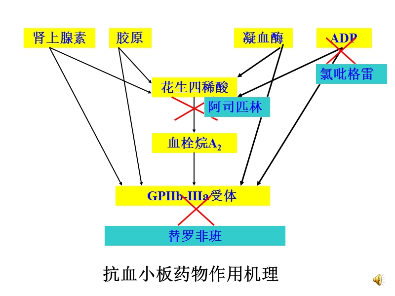 抗血栓药物的临床应用与案例分析.ppt_第3页