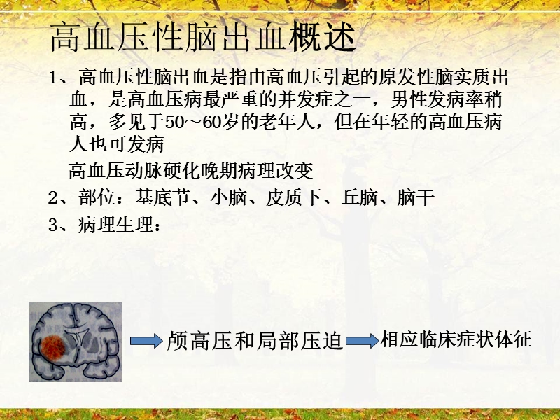 高血压性脑出血的微创治疗.ppt_第3页