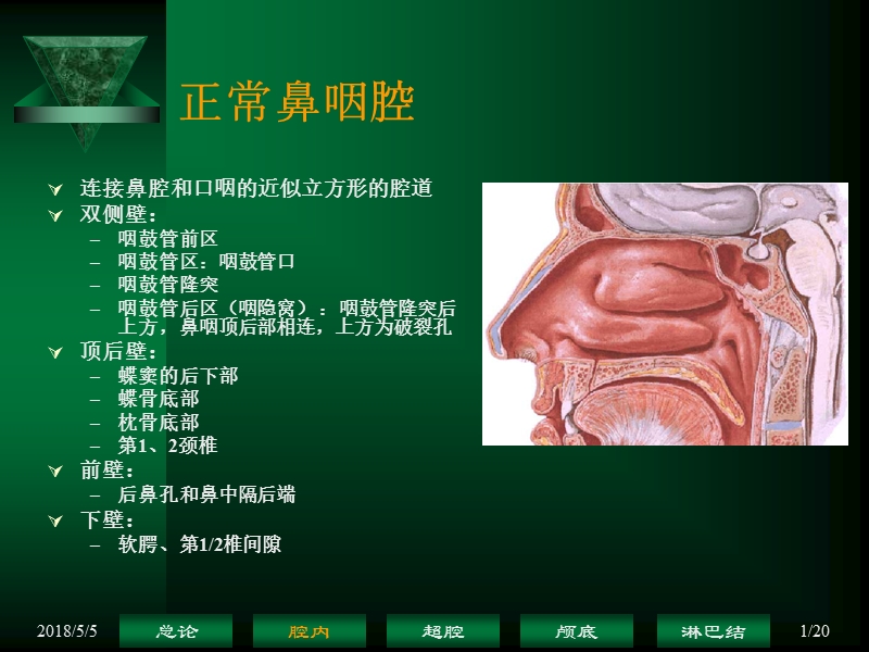 鼻咽癌解剖——鼻咽腔.ppt_第1页