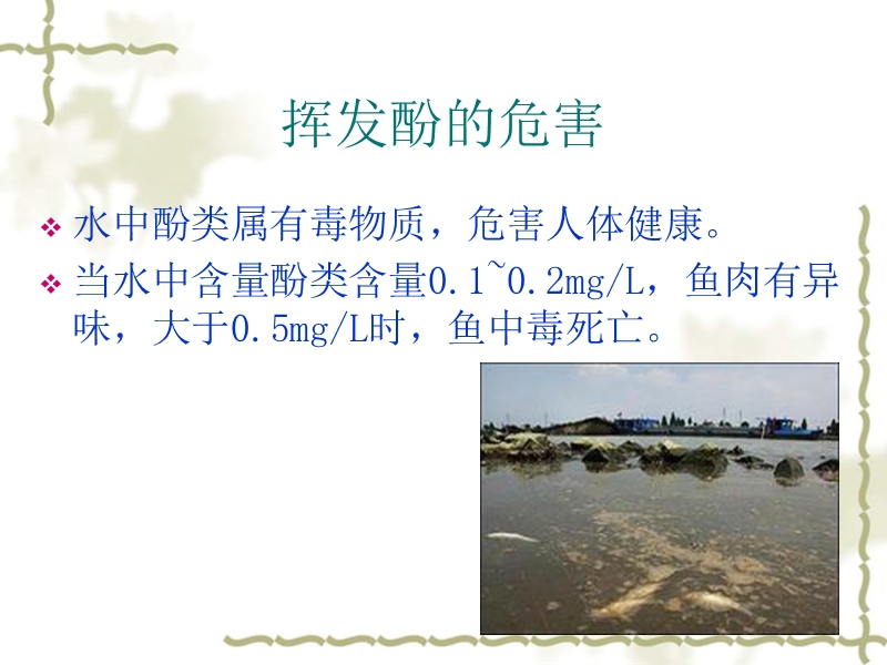 挥发酚的测定.ppt_第2页