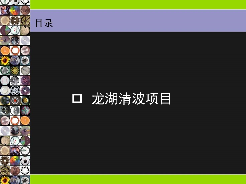 龙湖清波景观考察.ppt_第2页