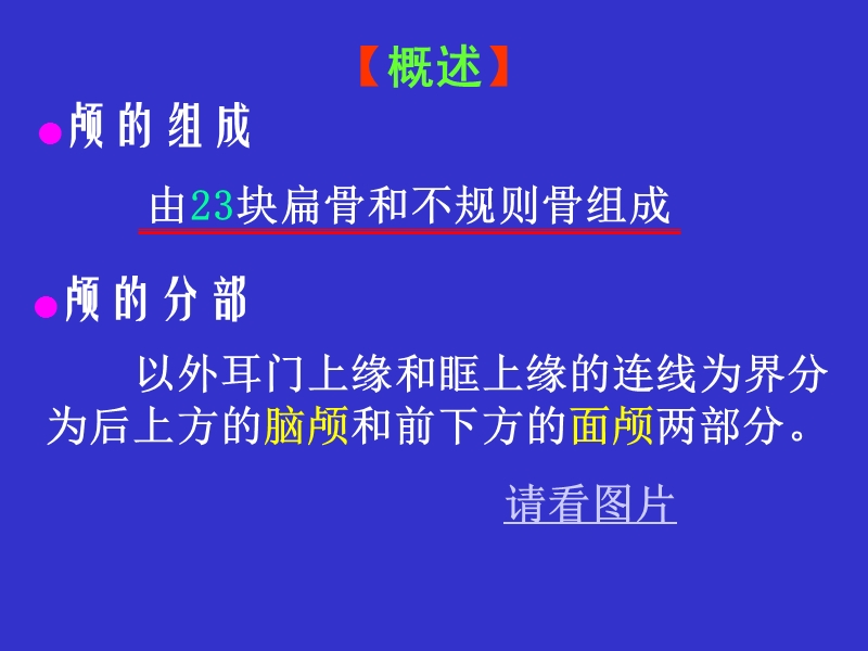 颅骨与连结.ppt_第2页