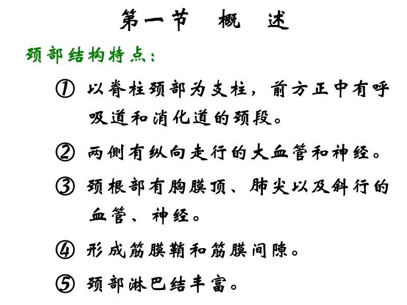 颈部解剖(1).ppt_第2页