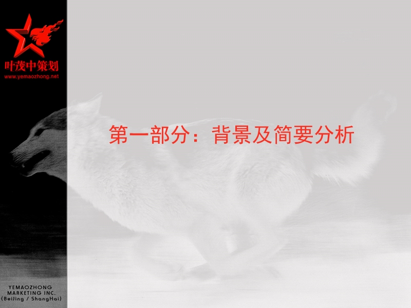 雅客是怎样炼成的(创新品类,博弈细分).ppt_第3页