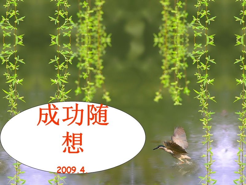 成功随想2009.4..ppt_第1页