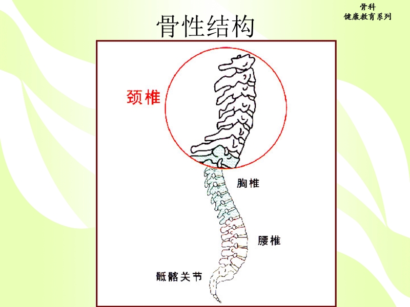 颈椎病健康教育.ppt_第3页