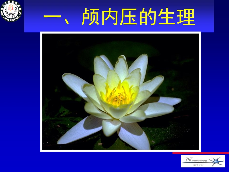 颅内压增高.ppt_第3页